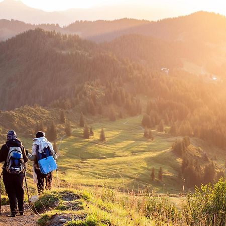 Heimatel - Ferienwohnungen Steibis Oberstaufen Kültér fotó