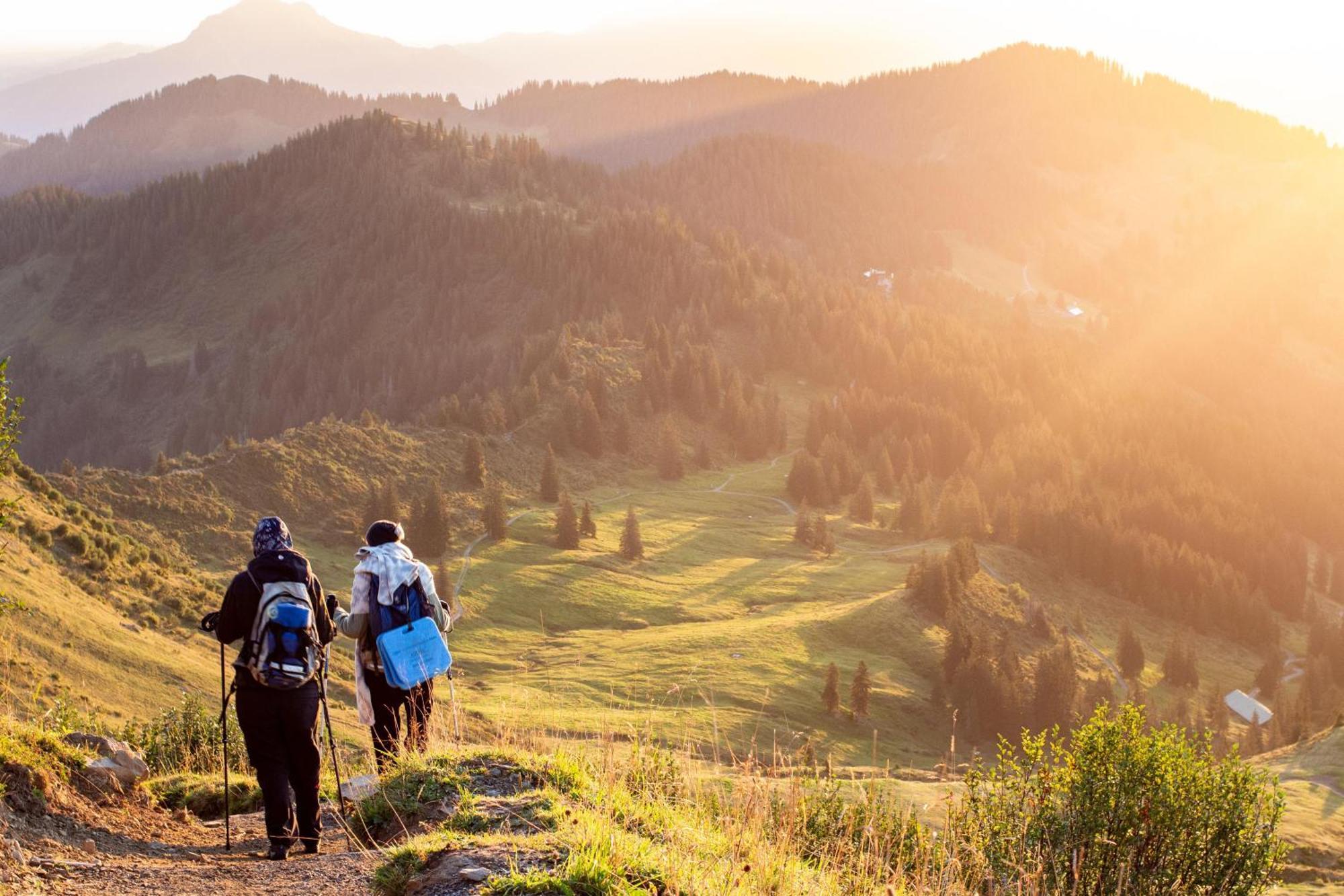 Heimatel - Ferienwohnungen Steibis Oberstaufen Kültér fotó